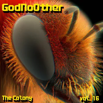 The Colony, Vol. 16 by God No Other