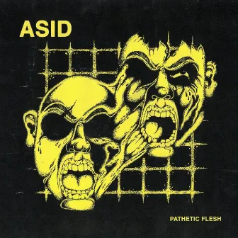 Pathetic Flesh by Asid