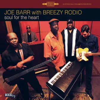 Soul for the Heart by Joe Barr