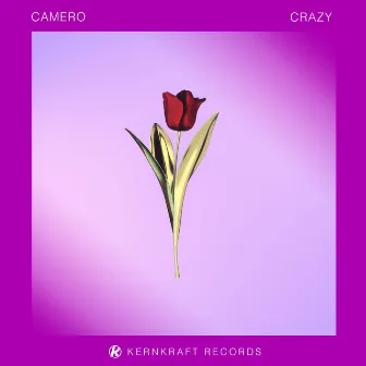 Crazy by Camero