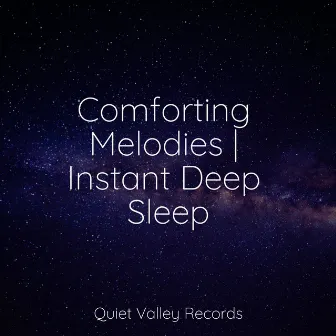 Comforting Melodies | Instant Deep Sleep by Raindrops Sleep