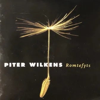 Romtefyts by Piter Wilkens