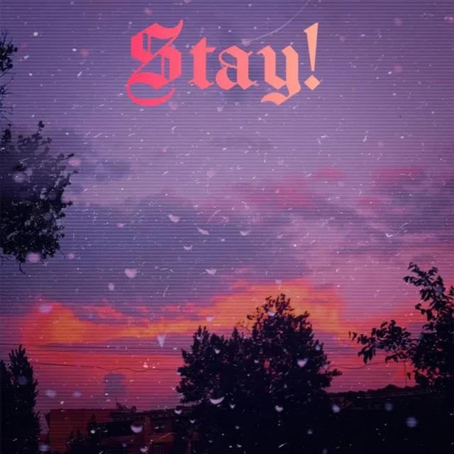 Stay!