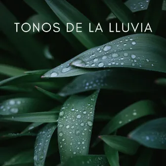 Tonos De La Lluvia: Agua Sobre El Cielo Vol. 1 by Sonidos De La Selva