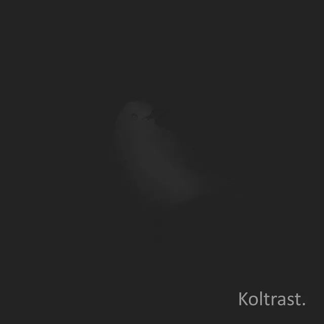 Koltrast