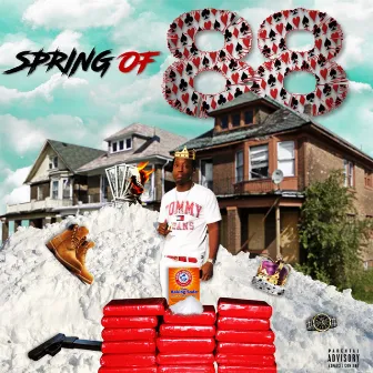 Spring of 88 by 88