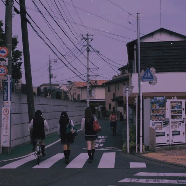 Warm Nights in Tokyo