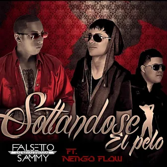 Soltandose el Pelo (feat. Ñengo Flow) by Sammy & Falsetto