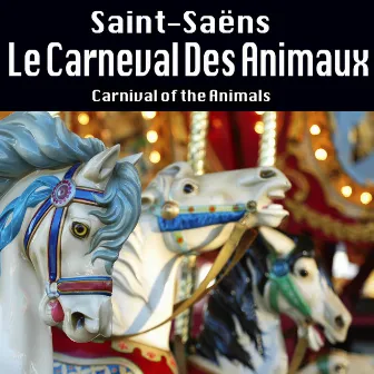 Le Carneval Des Animaux by South German Philharmonic Orchestra