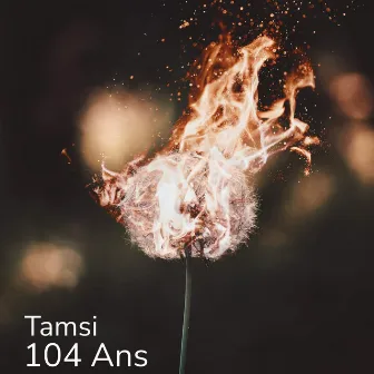 104 Ans by Tamsi