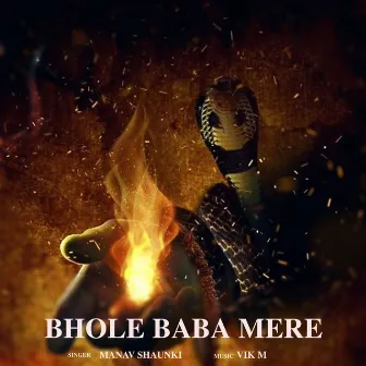 Bhole Baba Mere by Vik M