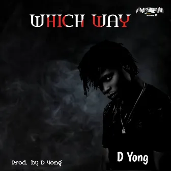 Which Way by D Yong