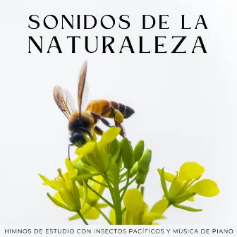 Sonidos De La Naturaleza: Himnos De Estudio Con Insectos Pacíficos Y Música De Piano by Ruidos de la Naturaleza