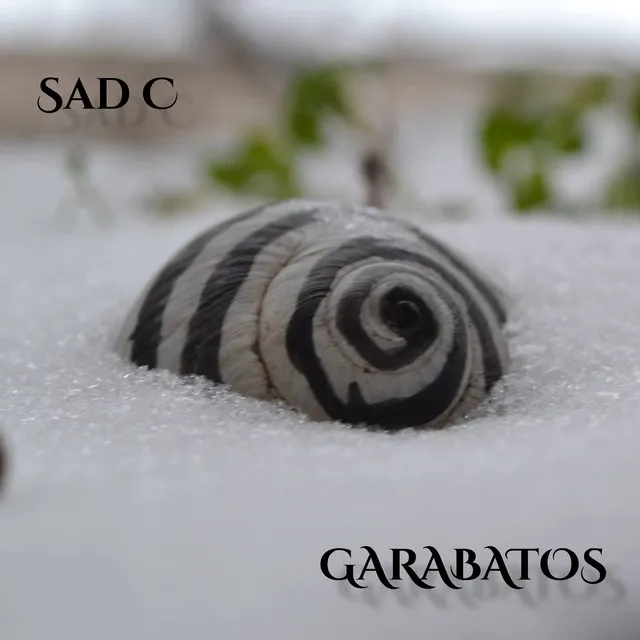 Garabatos