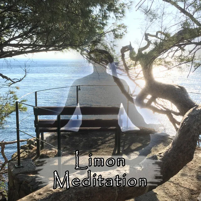 Meditation