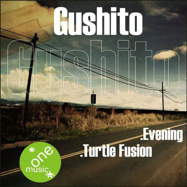 Turtle Fusion - Original Mix