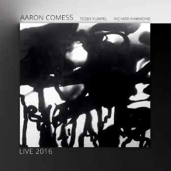 Live 2016 by Aaron Comess