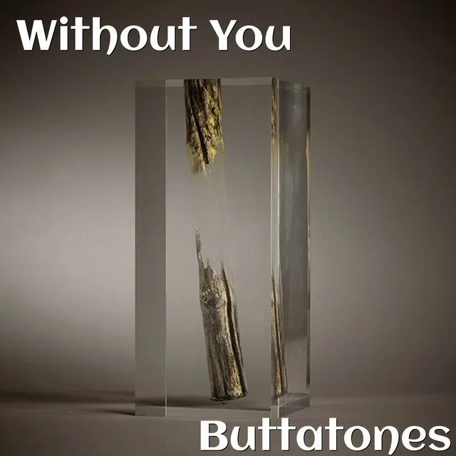 Without You