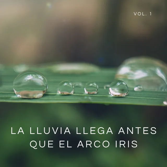 La Lluvia Llega Antes Que El Arco Iris, Vol. 1