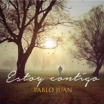 Estoy Contigo by Pablo Juan