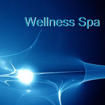 Wellness Spa: Musique de Fond pour Relaxation Profond, Musique pour Curage avec Massage de Drainage, Chansons du Moment pour Etre Heureux by Unknown Artist