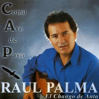 Como Ave De Paso by Raul Palma