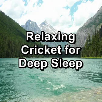 Relaxing Cricket for Deep Sleep by Crickets