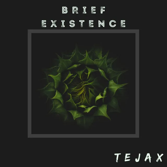 Brief Existence