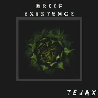 Brief Existence by Tejax