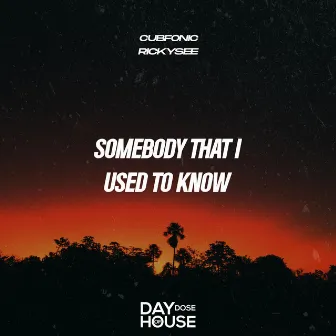 Somebody That I Used To Know by Franko Keys