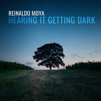 Reinaldo Moya: Hearing It Getting Dark by Francesca Anderegg