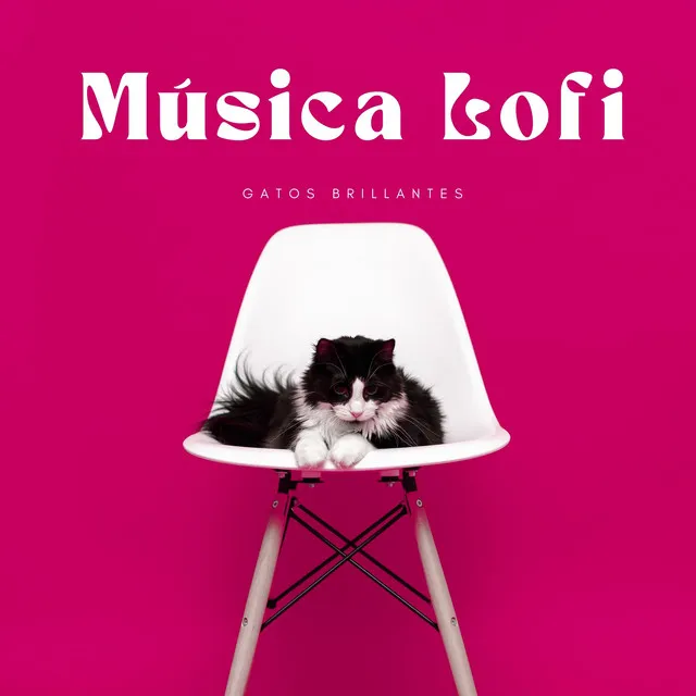 Música Lofi: Gatos Brillantes