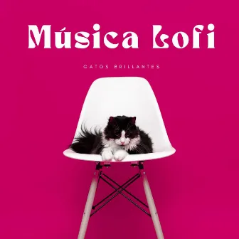 Música Lofi: Gatos Brillantes by Gato Somnoliento