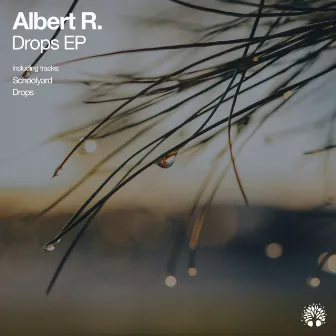 Drops by Albert R.