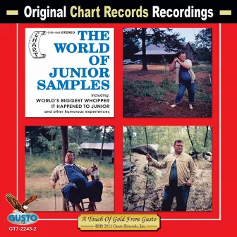 The World Of Junior Samples by Junior Samples