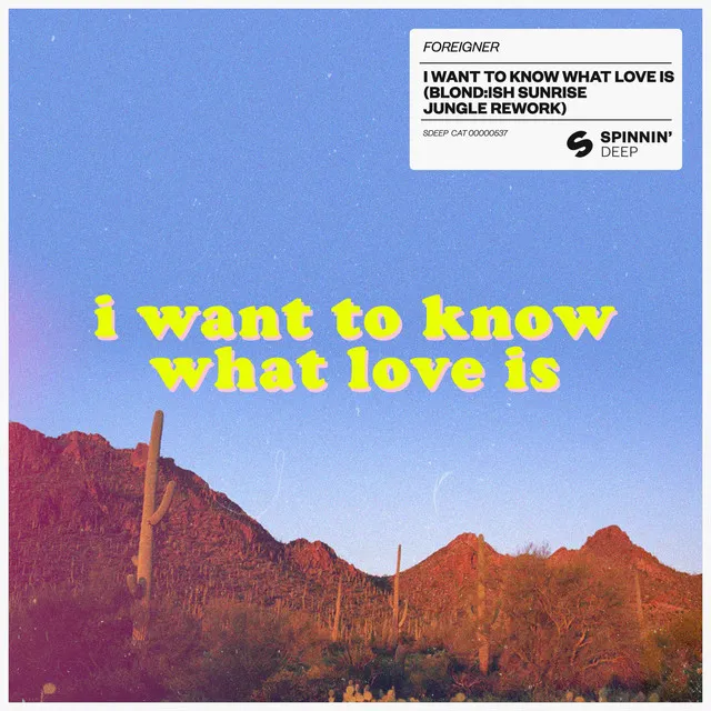 I Want To Know What Love Is - BLOND:ISH Sunrise Jungle Rework