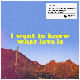 I Want To Know What Love Is (BLOND:ISH Sunrise Jungle Rework) by BLOND:ISH