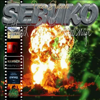 Sebuko - The Other Side by Sebuko