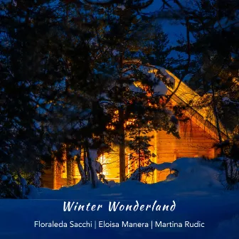 Winter Wonderland by Martina Rudic