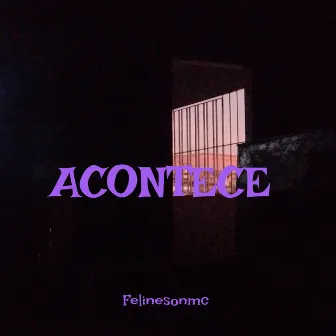 Acontece by Unknown Artist