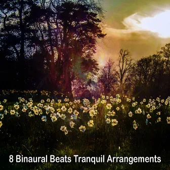 8 Binaural Beats Tranquil Arrangements by Binaural Beats Isochronic Tones Lab