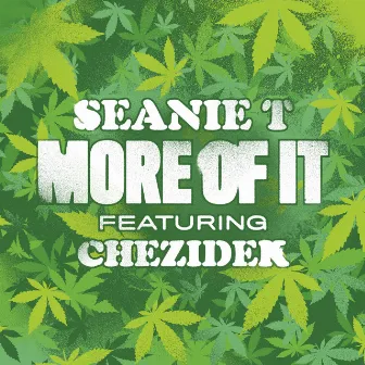 More Of It by Seanie T