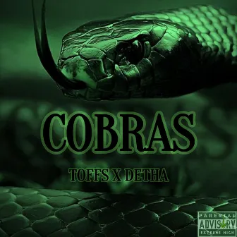 Cobras by ToFFs