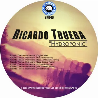 Hydroponic by Ricardo Trueba