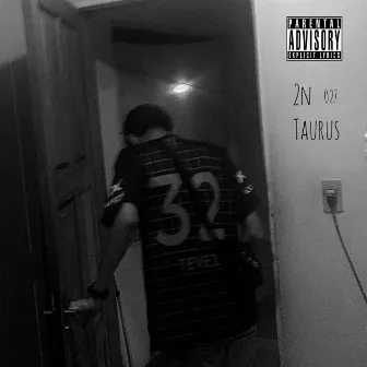 Taurus by 2N 027