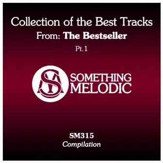 Collection of the Best Tracks From: The Bestseller, Pt. 1 by The Bestseller