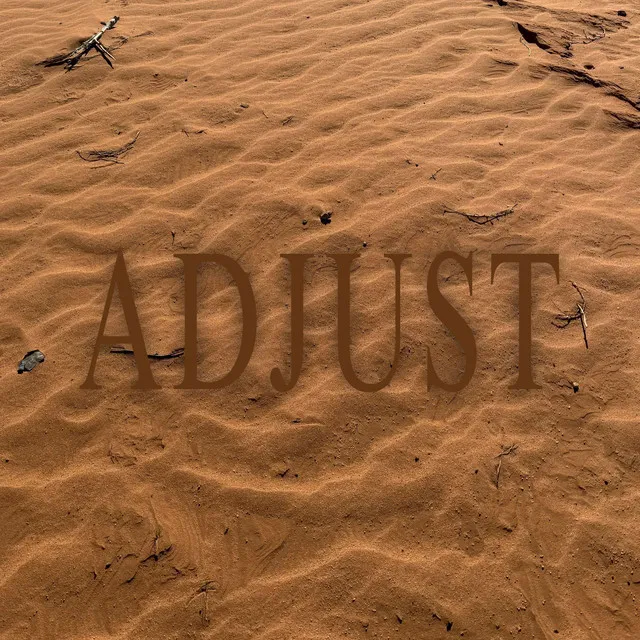 Adjust