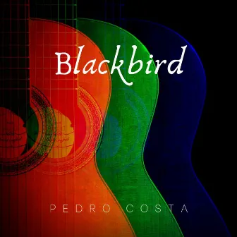 Blackbird by Pedro Costa