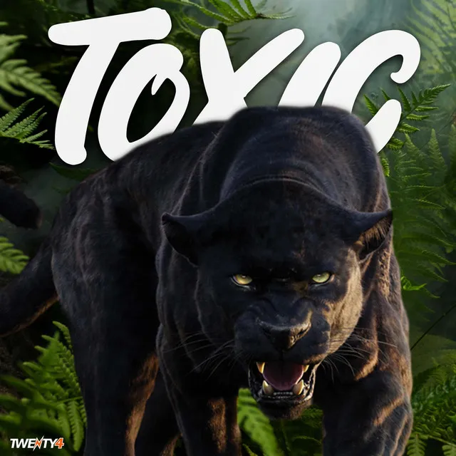 Toxic (Extended Mix)