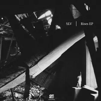 Rises by SLV